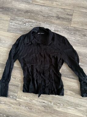 Zara Black Sheer Long-Sleeve Button-Down Shirt